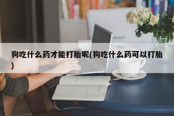 米非司酮片米索前列醇片网店在线购买狗吃什么药才能打胎呢(狗吃什么药可以打胎)