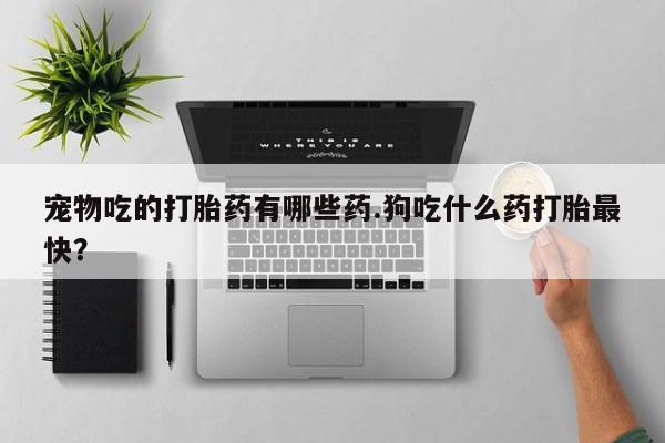 米非司酮片米索前列醇片网店在线购买宠物吃的打胎药有哪些药.狗吃什么药打胎最快？