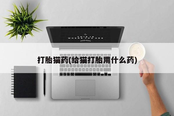 米非司酮片米索前列醇片网店在线购买打胎猫药(给猫打胎用什么药)