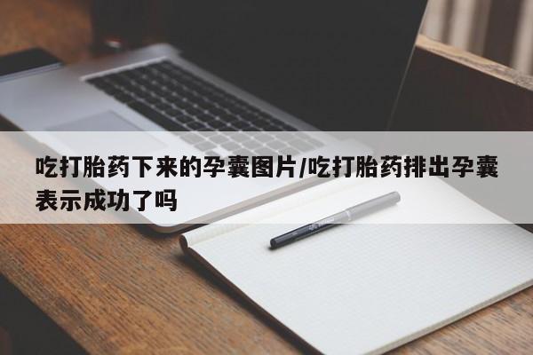 米非司酮片米索前列醇片网店在线购买吃打胎药下来的孕囊图片/吃打胎药排出孕囊表示成功了吗